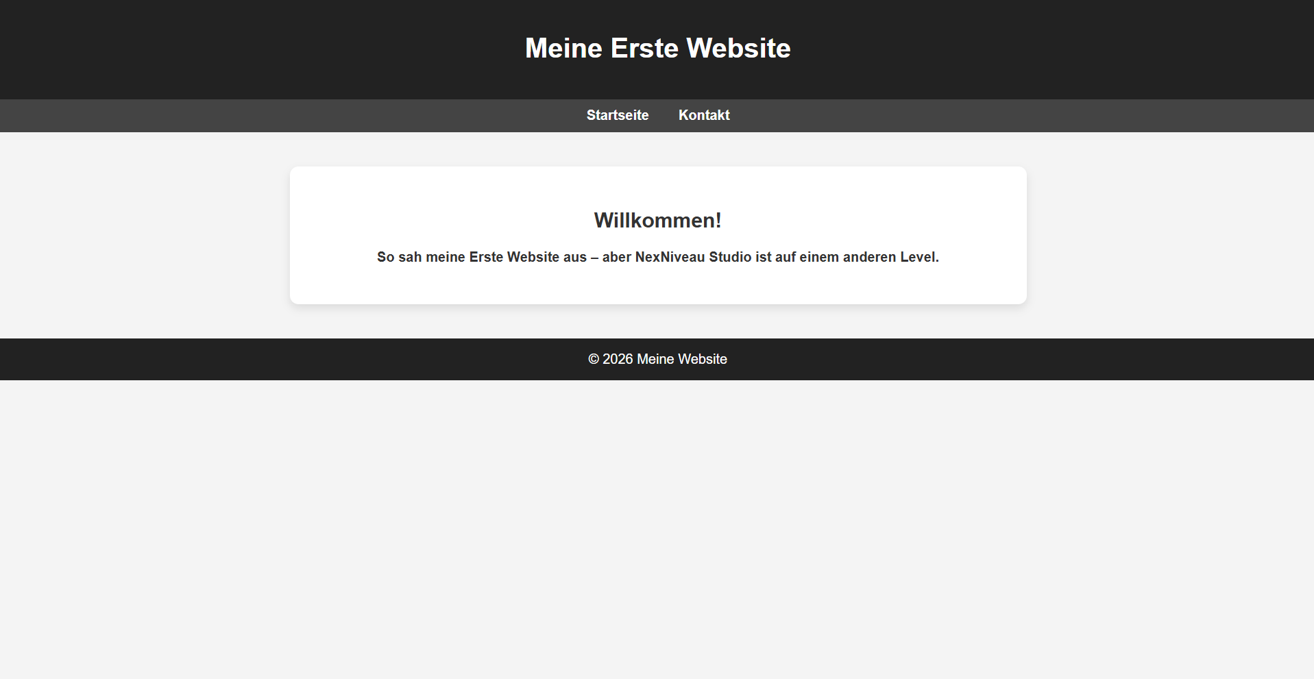 Meine erste selbst gebaute Website 2024